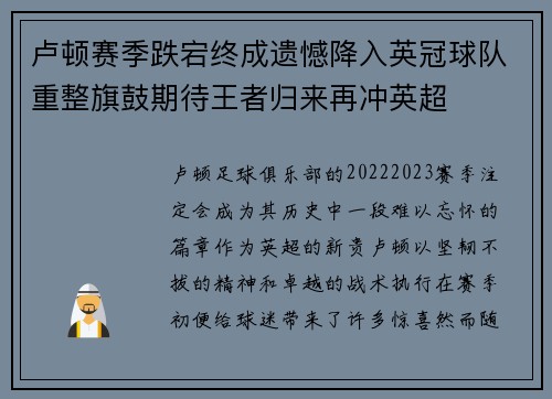 卢顿赛季跌宕终成遗憾降入英冠球队重整旗鼓期待王者归来再冲英超